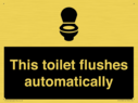 this-toilet-flushes-automatically~